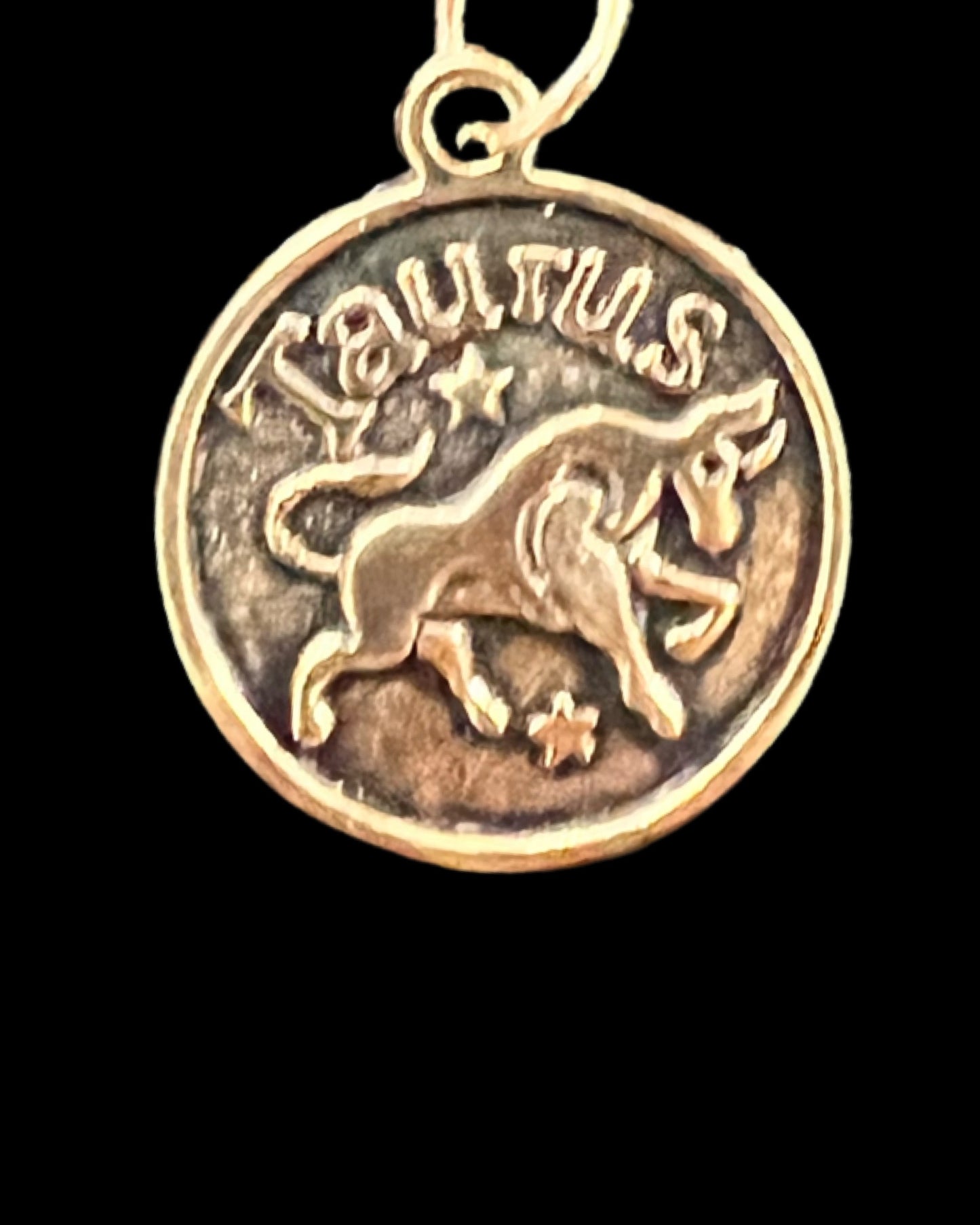 Horoscope Charm Necklace